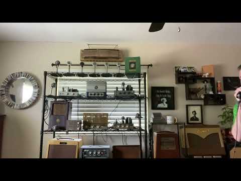 Custom Turner Harp mic