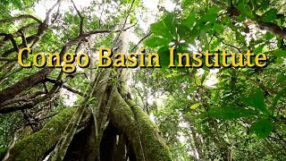 preview picture of video 'Congo Basin Institute'