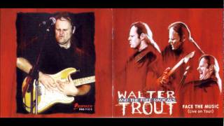 Walter Trout - Too Much Biz
