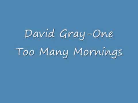 David Gray One Too Many Mornings