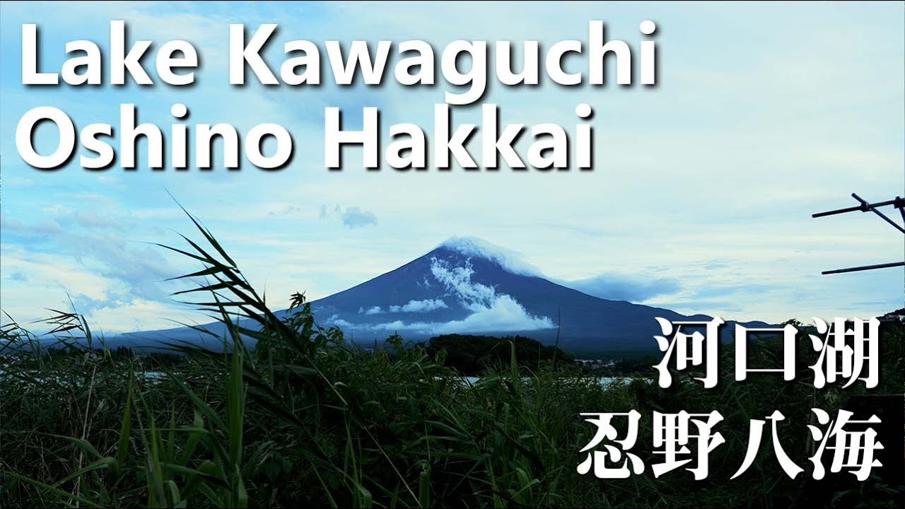 Discover the spectacular highlights of Oshino Hakkai.