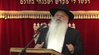 אין מקרה בעולם | קצרים | הרב דניאל זר