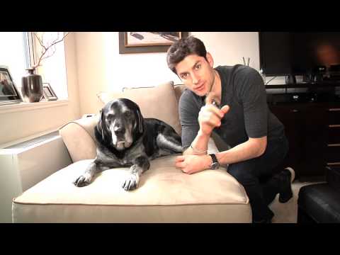 Ben Aaron celebrates a his dog, Otis' birthday...with the full spa treatment