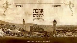 אהר׳לע סאמעט & מוטי ויזל - אהבת קדומים | Arale Samet & Motty Vizel - Ahavas Kedumim