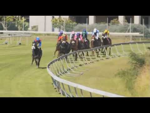 LINEBACKER - 2021 JONSSON WORKWEAR CAPE DERBY (Grade 1) #Kenilworth