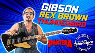 Video thumbnail for Rocking the brand new Gibson Rex Brown signature Thunderbird Bass - Pantera heavy tones! by Walt Grace Vintage