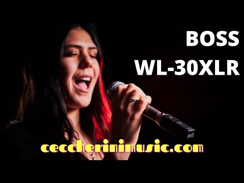 BOSS WL-30XLR - Sistema microfonico cordless adattabile a qualsiasi microfono dinamico