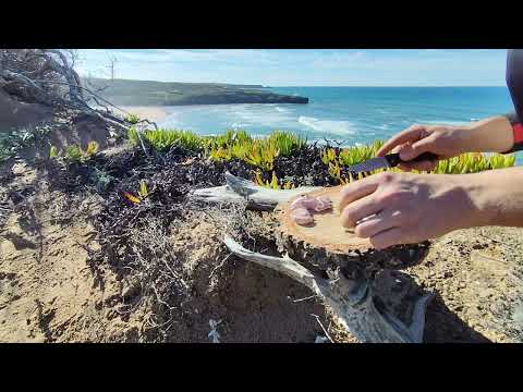 The BEST Açorda in the PORTUGUESE COAST