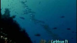 Jamaica Carlene Davis