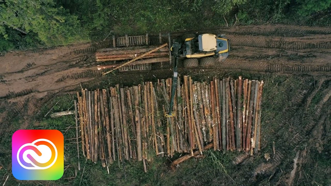 Environmental Documentary - Adobe Stock Motion Trend | Adobe Creative Cloud