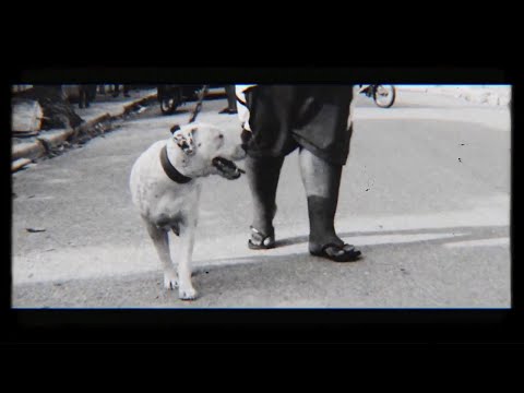 Madiel Lara ft Arias - Pueto pa' Dios (Visualizer)