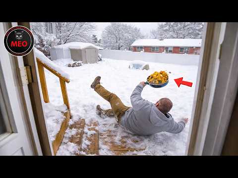 EXTREME Try Not To Laugh Challenge | Idiots at Work & Instant Regret Fails Compilation