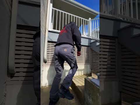 Seattle deck upgrade with MoistureShield & TimberTech IRX railings!