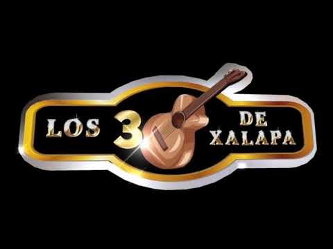 Trío LOS 3 DE XALAPA ~ Mientras llueve