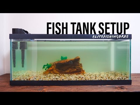 How To Set Up A Fish Tank - 20 Gallon Long