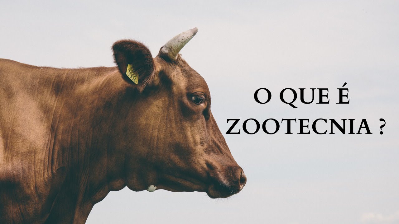O que é ZOOTECNIA