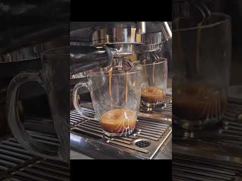 SAGE BARISTA EXPRESS #sage #costco #lavazza