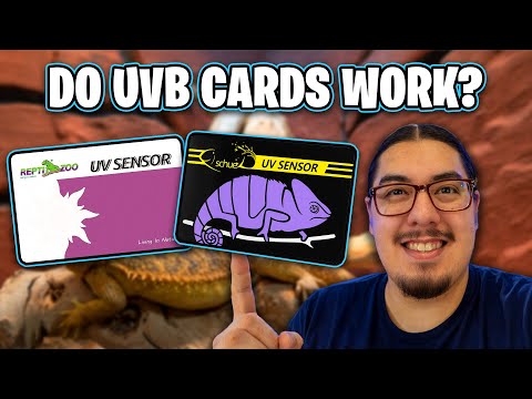 Do UVB Test Cards Work?