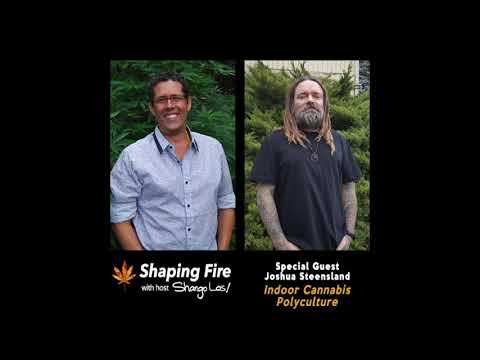 Shaping Fire Ep. 43 - Indoor Cannabis Polyculture with Joshua Steensland