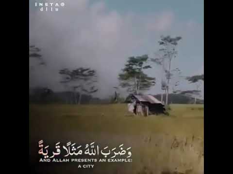 و ض ر ب الل ه م ث ل ا ق ر