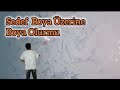 Sedef üzerine Boya Sedef Boya üzerine Boya Olurmu