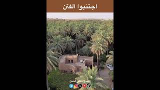 صورة أ.د. علي الشبل | اجتنبوا الفتن