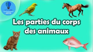Apprendre les parties du corps des animaux | Let's Learn gameplay video by megregoire, 4:33 duration
