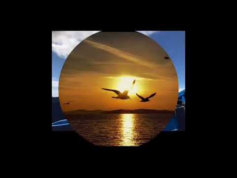 LEVRNAKA (OFFICIAL VIDEO)  - KREŠIMIR  ŠPANJA