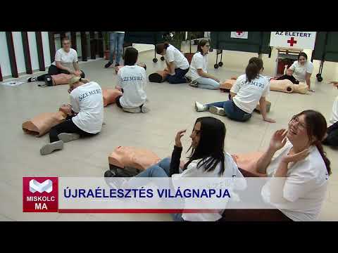 Videó előnézet