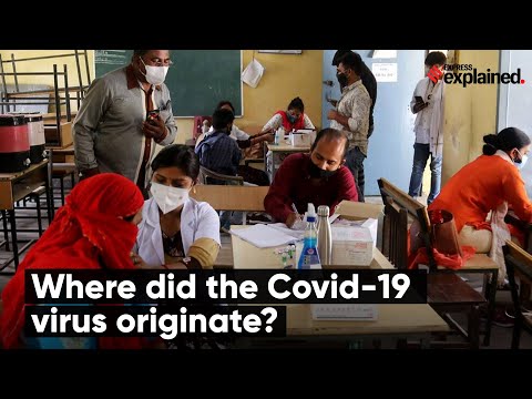 Where did the Covid-19 Virus Originate? | SARS-CoV-2 Origin?