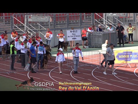 Rey du Val D‘Anzin(Nachkommengruppen)