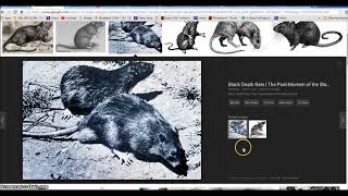 Flu Epidemic Spreading Superbowl LIE 2 Thessalonians Devil Deception Illuminati Freemason Symbolism