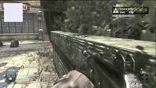 COD THE SOCIAL DEGENERATE VERSION