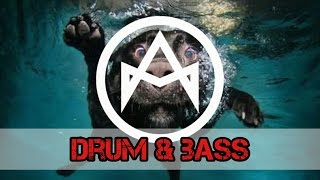 Metrik ft. Reija Lee - Cadence