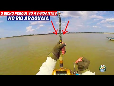 PESCA INACREDITÁVEL NO RIO ARAGUAIA | SÓ PIRAÍBAS GIGANTES | FOI MUITA EMOÇÃO