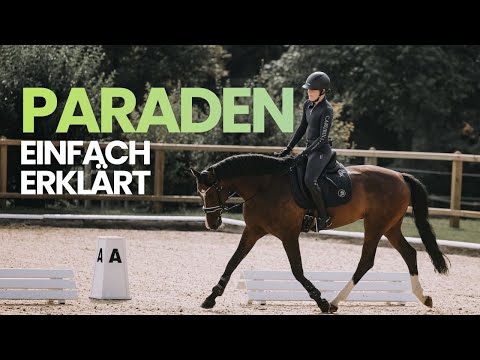 Reiten gut erklärt - Das Geheimnis einer gelungenen Parade
