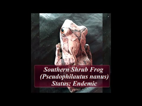 IUCN分類における絶滅の危険性を示す図。