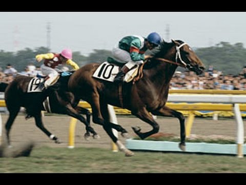 Japan Cup 1985 - Symboli Rudolf
