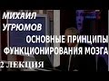 ACADEMIA. Михаил Угрюмов. Основные принципы функционирования ...