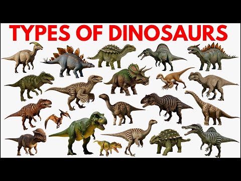 Dinosaur Names | Learn Different Types of Dinosaurs for Kids in English | Educational Video
