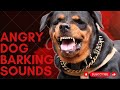 Epic Dog Barking Compilation: See How Your Dogs REACTS and Can't Resist!