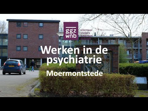 Werken in de psychiatrie Moermontstede