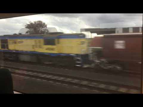 4532, 4911, C504, C507 9733V Grain At Lara