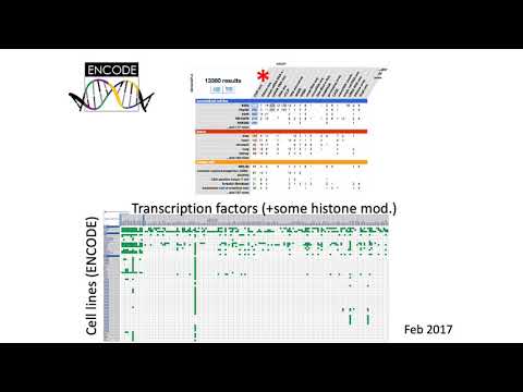 MCB 182 Lecture 11.4 - Regulatory interaction networks