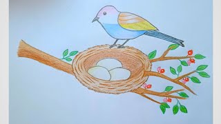 How To Draw Bird With Nest Step By Step (Very Easy) Drawing Video