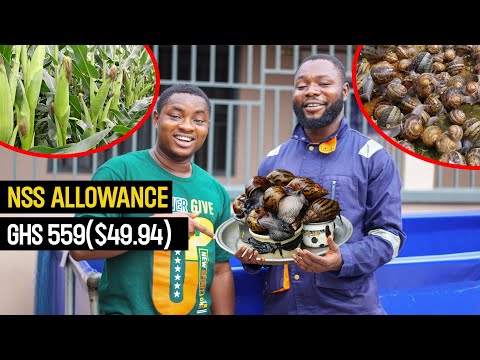 Meet the Agribusiness Graduate Who Started His Snail, Catfish and Maize Farm from His NSS Allowance.