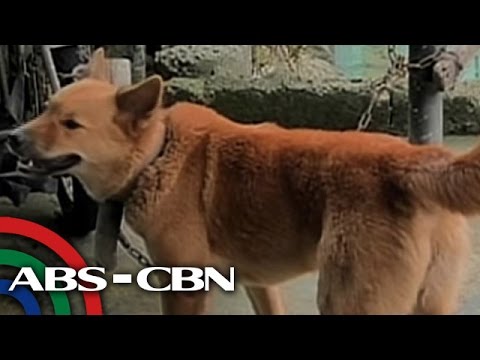 Posible na mawalan ng timbang sa yoga Na nawala para sa pelikula