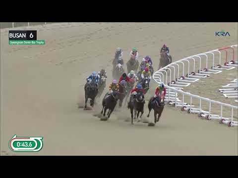 (Busan) 2022.11.20 R6 Gyeongnam Do Min Ilbo Trophy (Filly Juvenile Listed) 2022