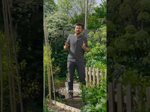 Succession Planting: Instantly Boost Garden Yields