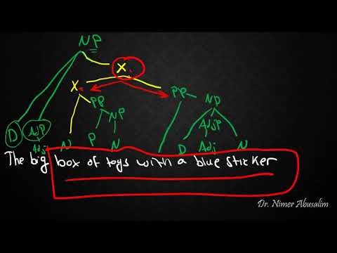 SYNTAX-17: From Flat Structure to X-bar Theory